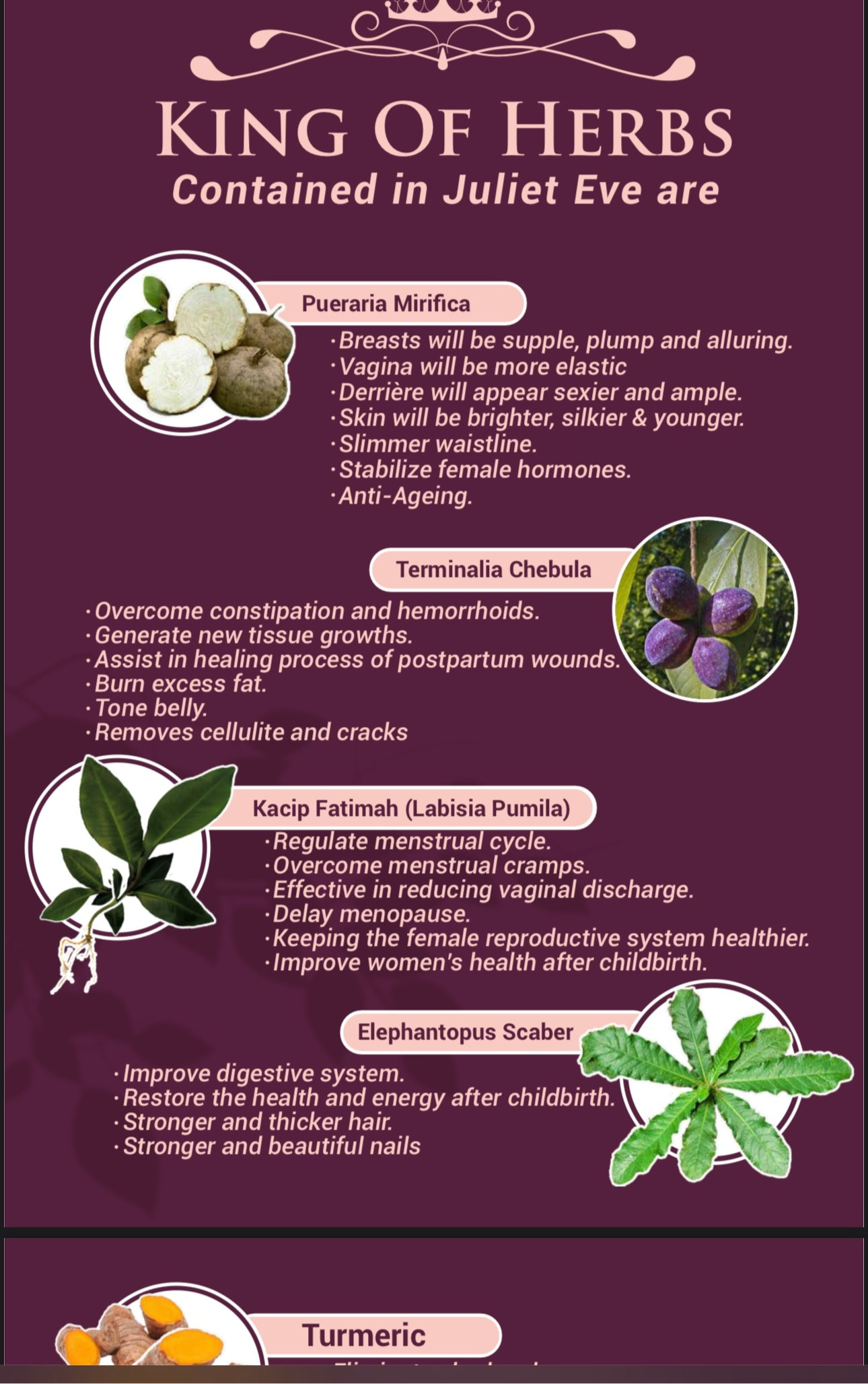 Juliet eve supplement